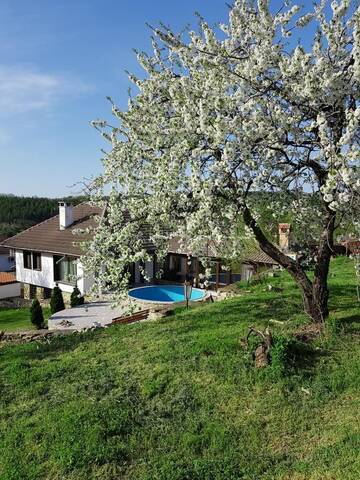 Фотографии Дома для отпуска Holiday Home Arbanasi г. Арбанаси (Болгария) №1 Фото Дома для отпуска Holiday Home Arbanasi г. Арбанаси 1